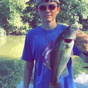 Meet your Posher, Brody